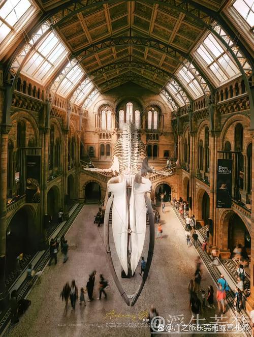 绿茵殿堂：探索建筑美学